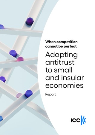 Portada de When competition cannot be perfect: Adapting antitrust to small and insular economies
