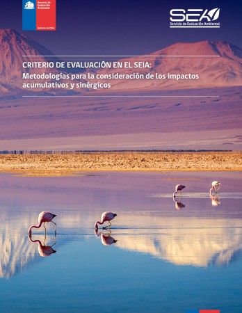 Portada de CRITERIO DE EVALUACIÓN EN EL SEIA: Metodologías para la consideración de los impactos acumulativos y sinérgicos