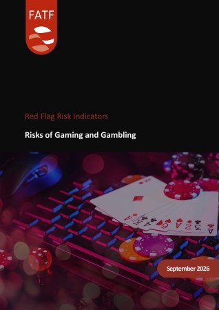 Portada de Risks of Gaming and Gambling